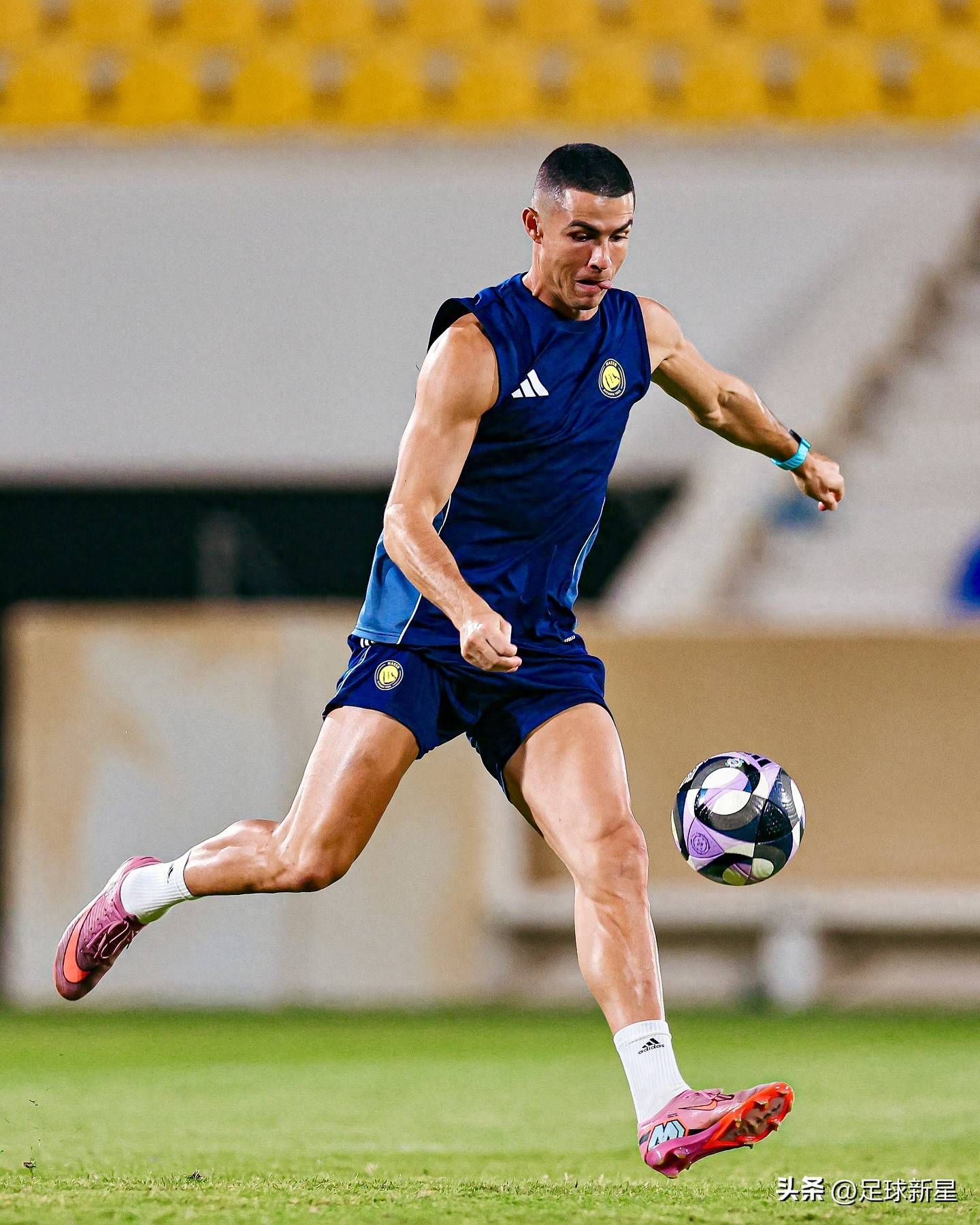 包含里程碑夜！多特蒙德临场应变，亚冠赛前刷纪录，赛场秩序良好，赛季目标并未改变的词条